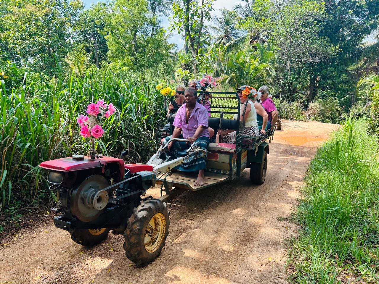 Safari Tour Moments